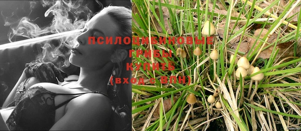 бошки Алексеевка