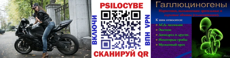 маркетплейс официальный сайт  Пыталово  Псилоцибиновые грибы прущие грибы 